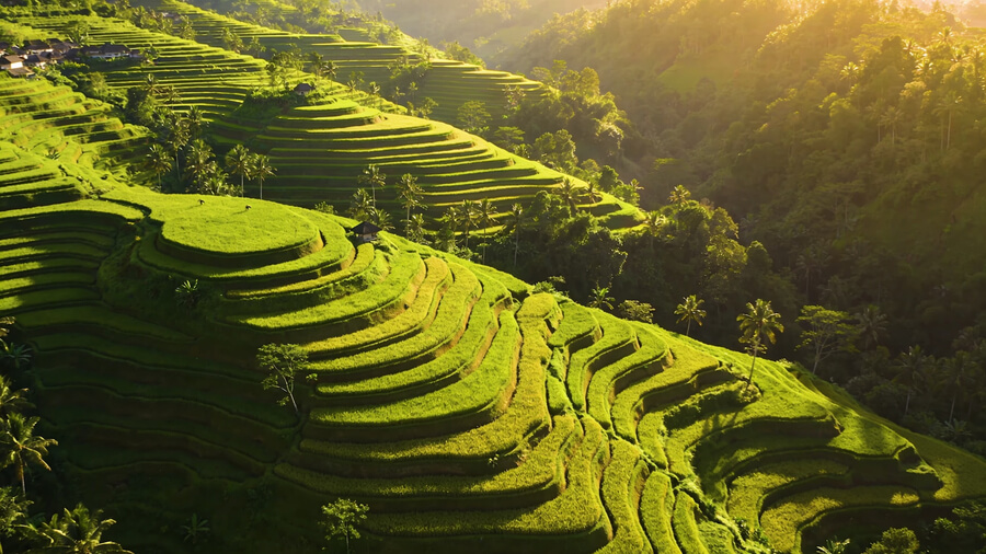 Necesito una SIM card para Bali?