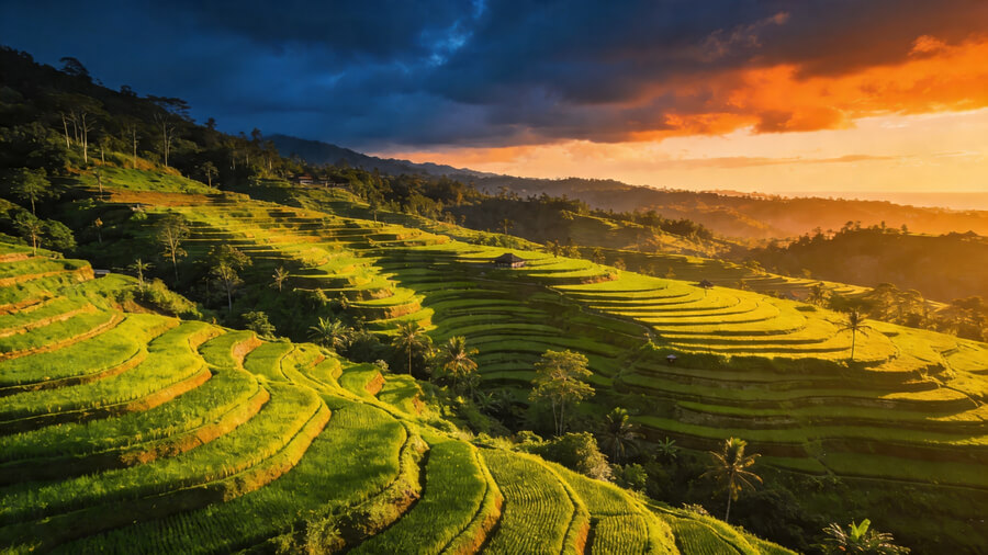 Is Unlimited eSIM data worth it? Your 2026 guide