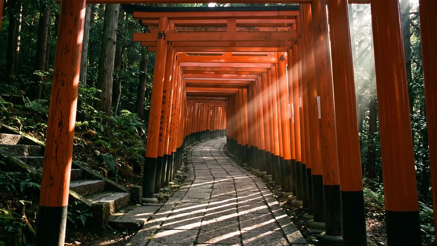 Los mejores lugares para visitar en Japón por su comida, cultura y más
