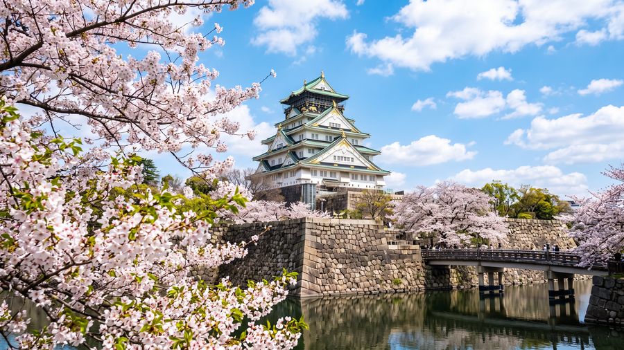 Los mejores lugares para visitar en Japón por su comida, cultura y más