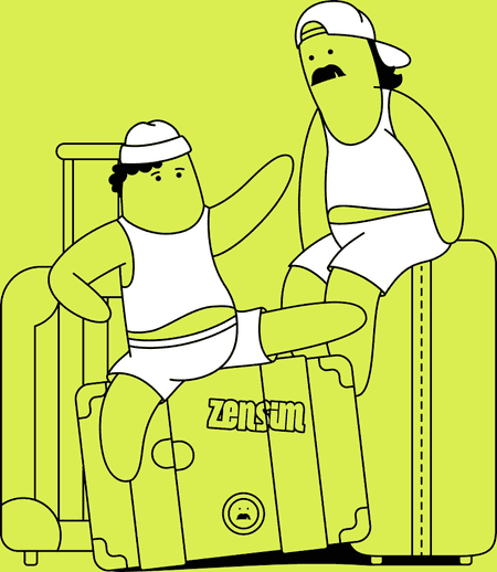 Travel eSIMs - ZenSim